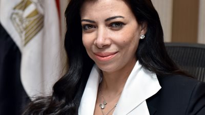 خورشيد: بدء إعداد اللائحة التنفيذية لمشروع قانون الاستثمار الجديد