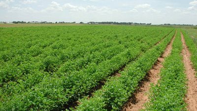 «أطلس للاستصلاح» تؤسس شركة للتصنيع الغذائي بـ10 ملايين جنيه