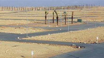 خبير عقاري: تولي هيئة الاستثمار تخصيص الأراضي يحفز رجال الأعمال