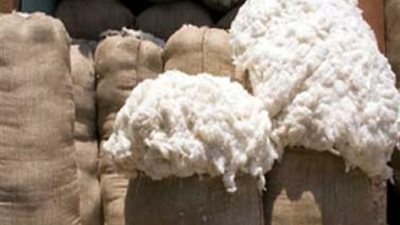 «الزراعة» تقرر مد فترة «حليج الأقطان» لشهر جديد