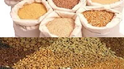 «الثروة الداجنة» تطالب «الزراعة» بتوفير 9 ملايين طن «أعلاف»