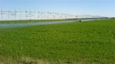 الخميس.. «النصر للحاصلات الزراعية» تناقش آخر مستجدات الشركة