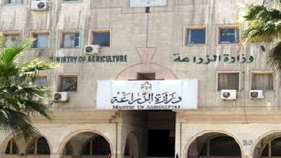 «الزراعة» تطرح مناقصة تطوير مقاولات في بحوث الثروة السمكية