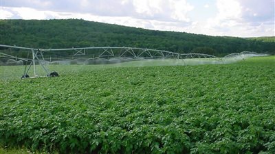 انفراد.. «دوتس» تحصل على تراخيص «ازرع بلدك» بتكلفة 190 مليون جنيه