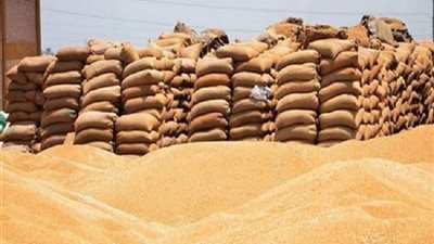 «المحاسبات» يفجر أكبر قضية إهدار مال عام بـ«التموين»