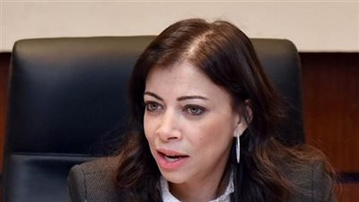 «الاستثمار»:طرح جزئي لبعض الشركات الحكومية بالربع الأول