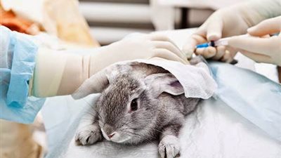 جامعة بريطانية تكتشف مادة تطيل العمر!