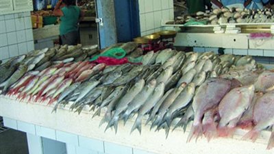 استقرار أسعار الأسماك اليوم الخميس.. والبوري بـ31 جنيهًا