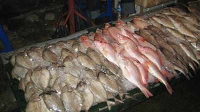 انخفاض أسعار الأسماك اليوم.. و«البلطي الأسواني» بـ 17 جنيهًا