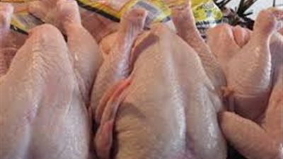 أسعار الدواجن اليوم الثلاثاء.. و«الساسو» يسجل 23 جنيهًا