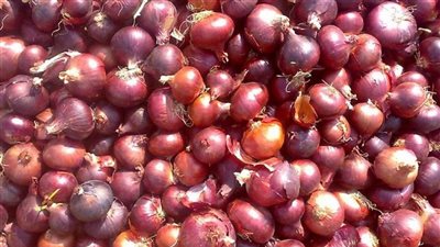 أسعار الخضراوات اليوم الثلاثاء.. و«البصل» يسجل 6.5 جنيهات