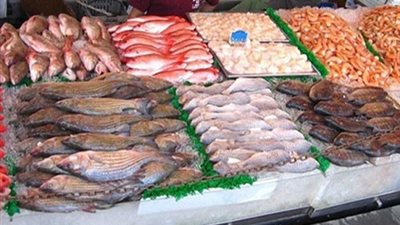 أسعار الأسماك اليوم الأربعاء.. و«المرجان» يسجل 23 جنيهًا