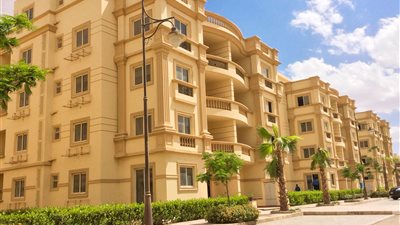 وزير قطاع الأعمال يدعو الشركات الكبيرة لتبادل الخبرات مع «الناشئة»