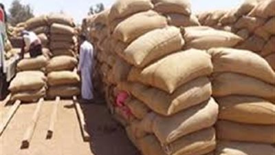 «التموين» تلغى تخزين القمح بـ«الشون الترابية»
