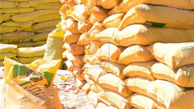 «العربى للأسمدة» يعقد «الملتقى الدولى» الـ23.. نهاية الشهر الجاري