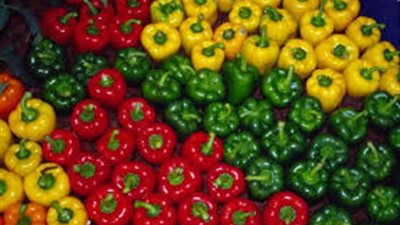 أسعار الخضراوات اليوم الجمعة..و«الطماطم» تسجل 5 جنيهات 