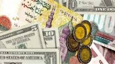 فشل دراسات «النقد الدولى» للاقتصاد المصري.. حسانين: تصريح «الصندوق».. موحد لكل الدول.. و«شاكر» يطالب بالإفراج عن «الاستثمار».. وتوقعات بوصول الدولار لـ22 جنيها