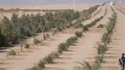 ملاك شرق السكة: الإسكان تطرد الاستثمارات وتتعدى على 3 أفدنة بالحزام الأخضر