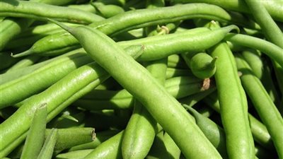 أسعار الخضراوات اليوم الثلاثاء.. و«الفاصوليا الخضراء» بـ 14 جنيهًا