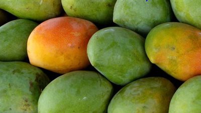 أسعار الفاكهة اليوم الثلاثاء.. والمانجو بـ 35 جنيهًا