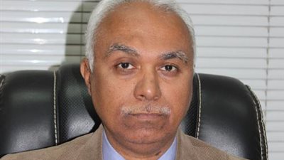 «الشيخ زايد»: المجتمعات العمرانية «لا تبخل» على المدينة