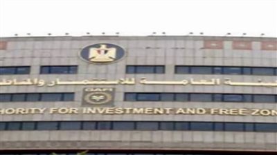 «الاستثمار»: تأسيس 281 شركة جديدة خلال أسبوع