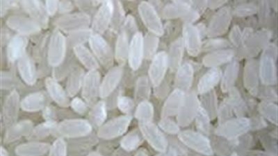 «القابضة» تطالب «مصيلحى» بمكافأة 50% من صفقات الأزر للجهات الرقابية