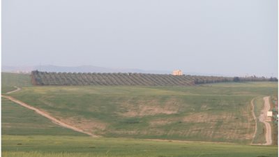 بالصور.. ننشر مخططات الأراضي الاستثمارية في «بدر»