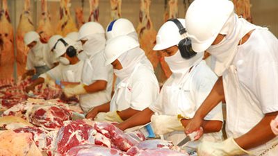 «التموين» تطرح لحوماً «برازيلية» بأسعار أقل 25% عن السوق 