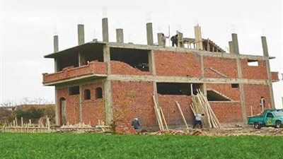 «مجلس الدولة»: 5 ملايين جنيه غرامة التعدى على الأراضى الزراعية