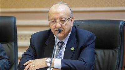 «إسكان البرلمان»: «الدولة» تسعى لجذب استثمارات جديدة لـ«الصعيد»