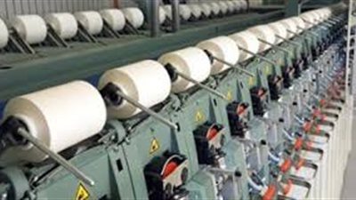 «سعد الدين» يطالب بدراسة مواقف الشركات المديونة 