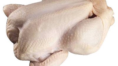 أسعار الدواجن اليوم الثلاثاء.. و الساسو بـ 25 جنيهًا