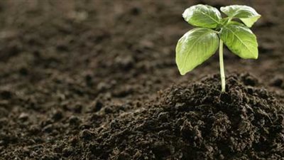 «القابضة للكيماويات» تعيد هيكلة إدارة شركة النصر للأسمدة