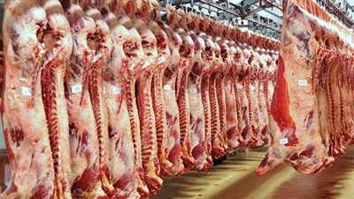 شعبة القصابين: أصحاب محلات الجزارة «غيروا النشاط» بسبب الركود!