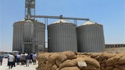 «باسيلى»: 60 ألف طن السعة التخزينية لـ«صومعة منوف»