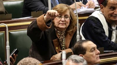 «اقتصادية البرلمان» تعيد مسودة « قانون الاستثمار» لمجلس الدولة