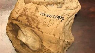 مصر تتسلم «فأساً أثرياً» من بلجيكا