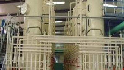 فروق العملة والمصروفات تهوى بأرباح «المصرية للنشا»