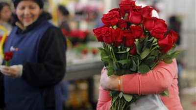 الورد ملطشة «الفلانتين».. بعد ارتفاع الأسعار
