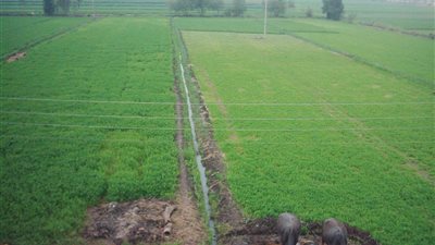 «خبير تطوير»: استرجاع 20 ألف فدان من حالات التعدي ببحري