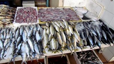 أسعار الأسماك اليوم الأربعاء.. والسبيط بـ 60 جنيهًا