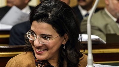 برلمانية: مميزات عديدة لتحويل المناطق التكنولوجيا إلى «حرة»