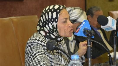 «يمن الحماقي» تطالب رجال الأعمال بتبني المشروعات الصغيرة والمتوسطة