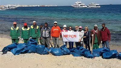 بالصور.. شاهد «حملة تطوعية» لتنظيف شاطئ فلفلة بالغردقة