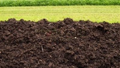 «إيجيفرت» تعلن تعديل قوائمها المالية