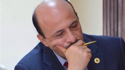 «مصرفى» يستبعد تأثر البنوك سلبيا بارتفاع الديون الخارجية 