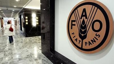 «فاو»: مستقبل الأمن الغذائى العالمى «مهدد»