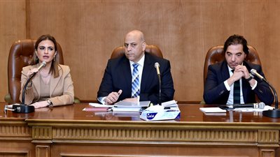 «نصر» تشارك بأول اجتماعات اللجنة الاقتصادية بمجلس النواب