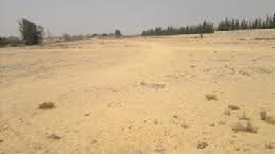  «وزارة النقل» تطرح مناقصة انتفاع بقطعة أرض 